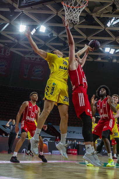 近年来培养 近年来培养