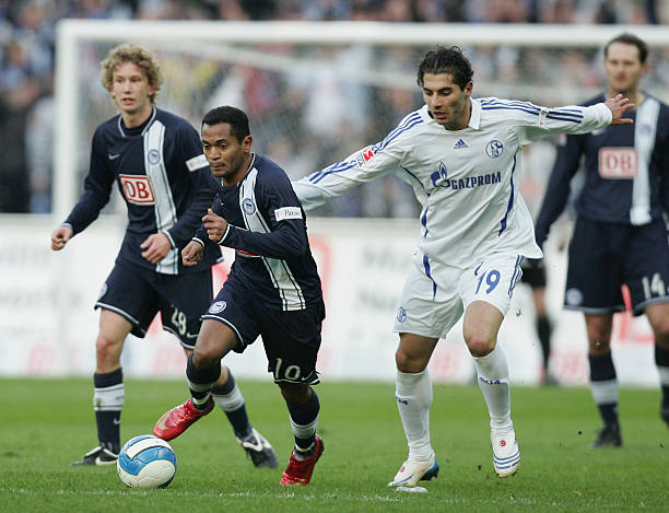 的新生力量 的新生力量